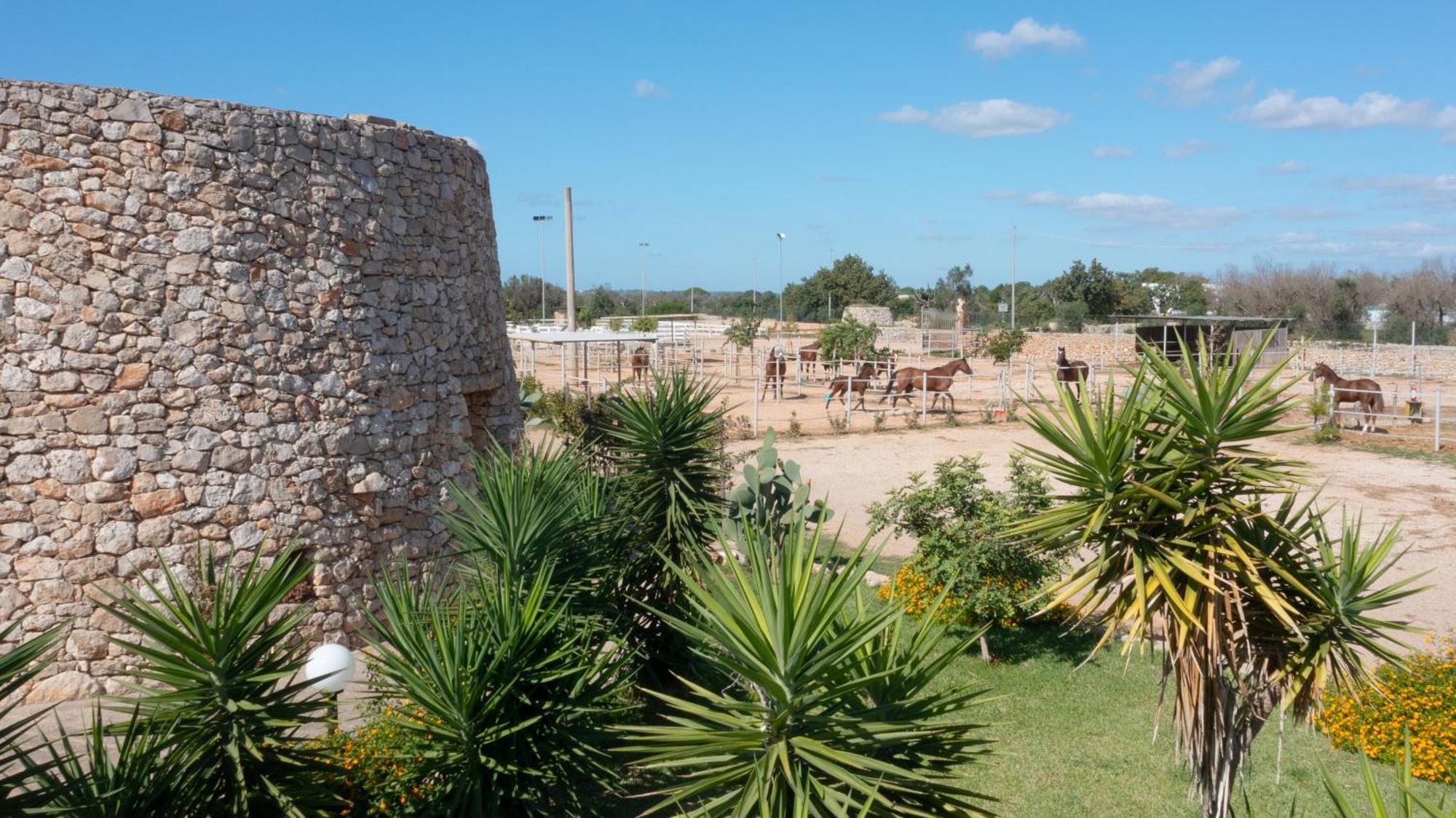 Delle Rose, Hotel & Horse Riding Торе Вадо Екстериор снимка